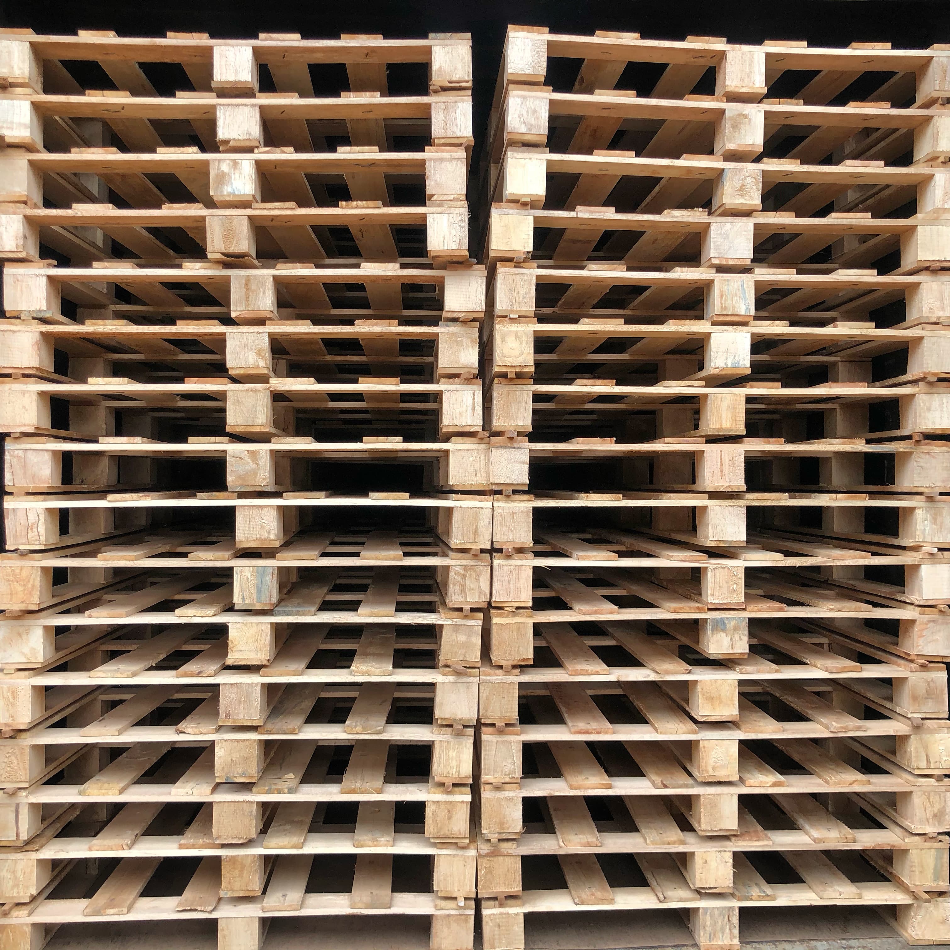 Pallet manufacturing and assembly at CeyPall facility in Kochchikade, Sri Lanka